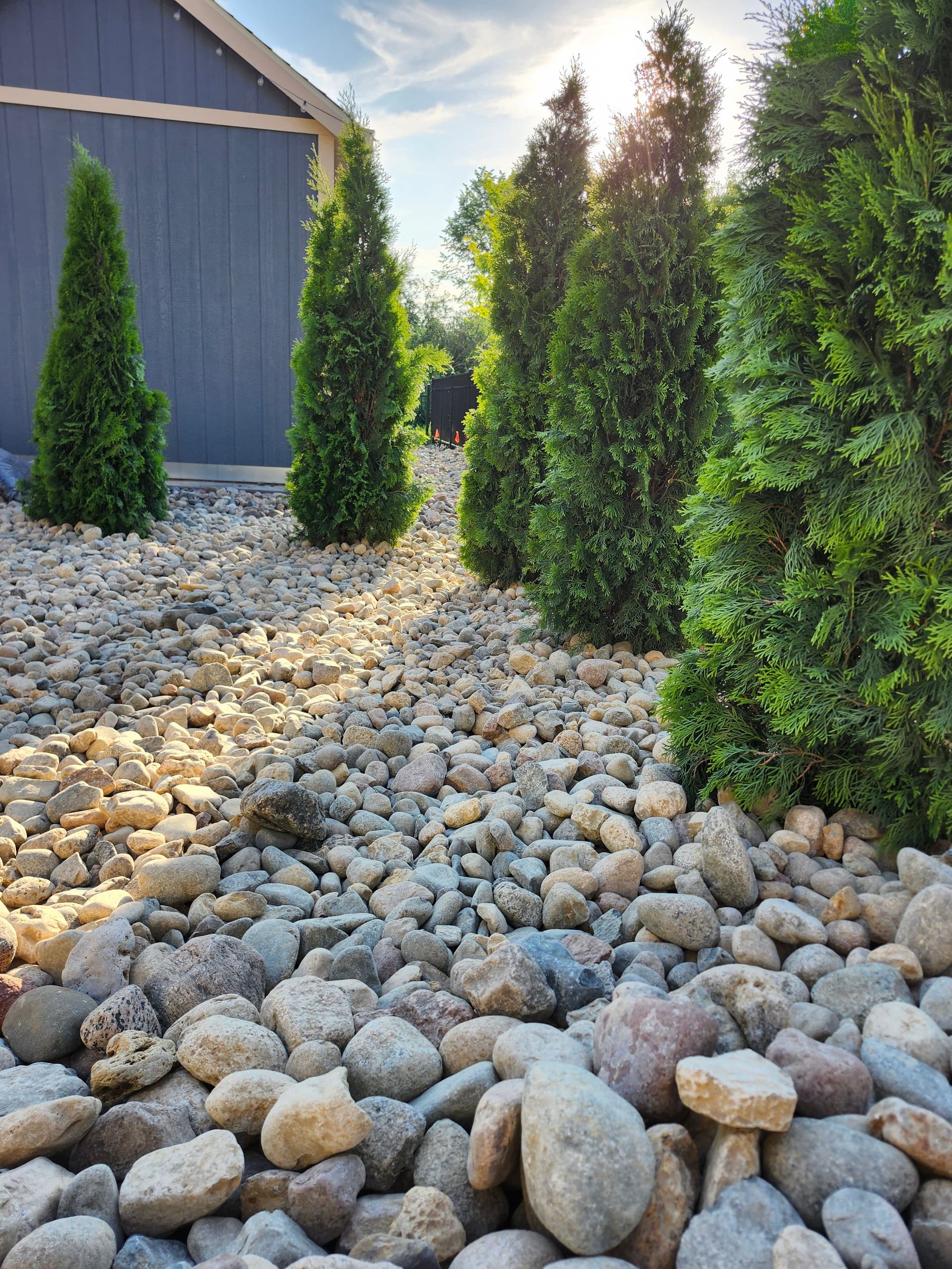 Natural Privacy Screening With River Rock and Arborvitae image