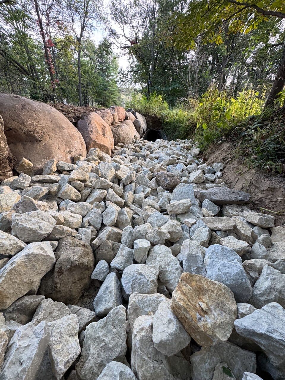 Enhancing Nature with Effective Water Management image