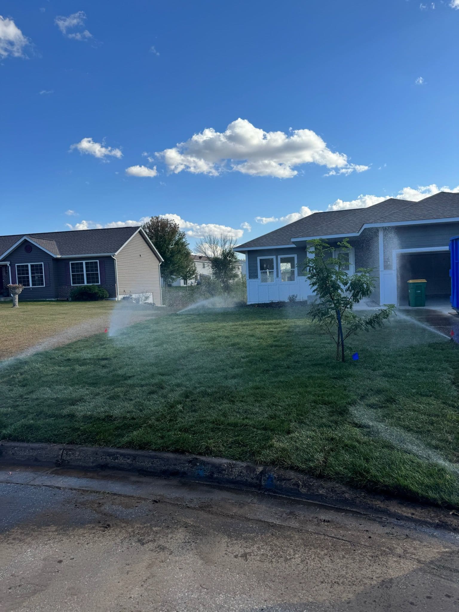 Project New Lawn Installation in Cannon Falls image