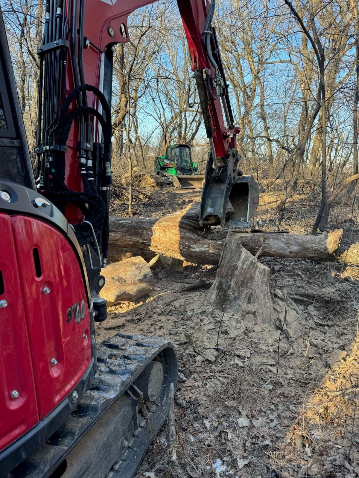 Tree Clearing for New Trail