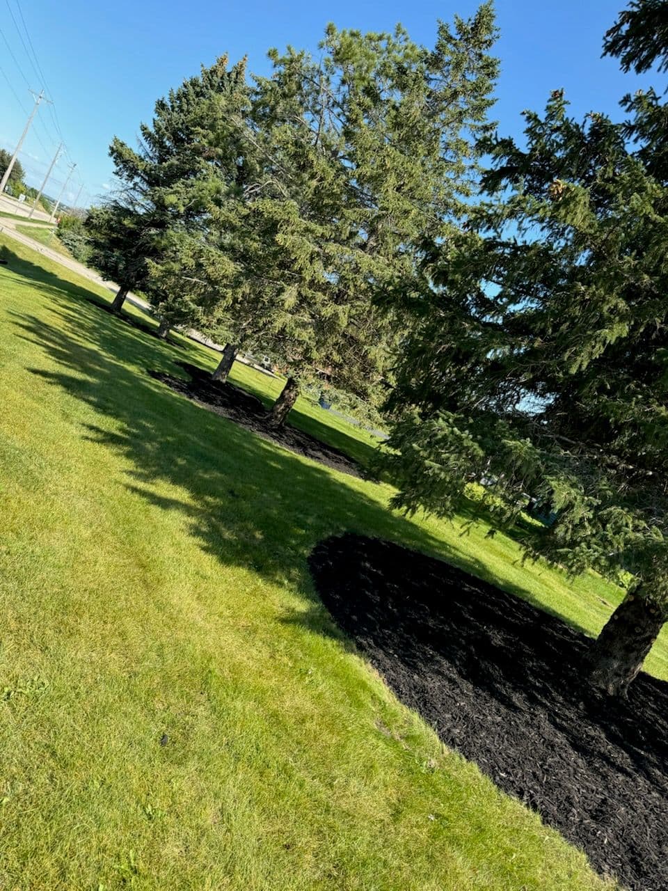 Landscape Mulching Service image